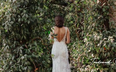 The Magic of the Hidden Altar: Secret Garden Wedding Venue