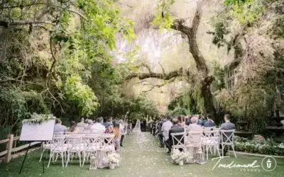 Enchanted Canopy: How to Style the Perfect Woodland Wedding